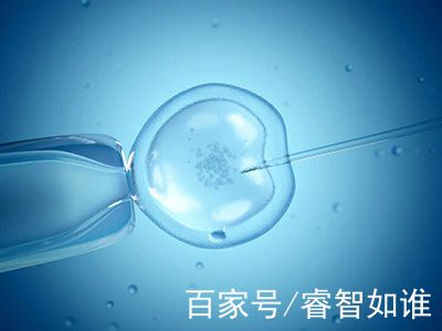 代生试管机构